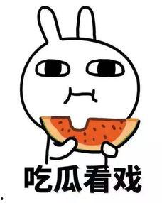 吃瓜不吃瓜讲真的吗,真相与谣言的较量