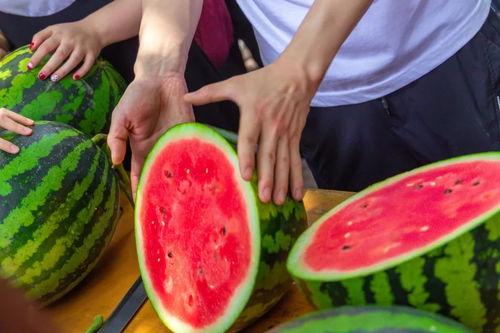 大学舍友吃瓜,揭秘大学舍友的吃瓜日常