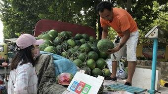 济宁西郊吃瓜事件,一场引发热议的街头冲突