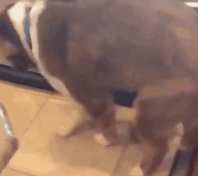 吃瓜搞笑奇葩图片,吃瓜搞笑奇葩图片大盘点