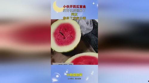 吃瓜开盲盒,一场惊喜与期待的游戏之旅