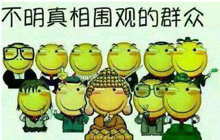 吃瓜群众的资料,网络舆论场的众生相