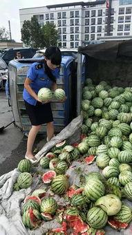 济宁凤凰城吃瓜事件,一场引发热议的邻里纠纷