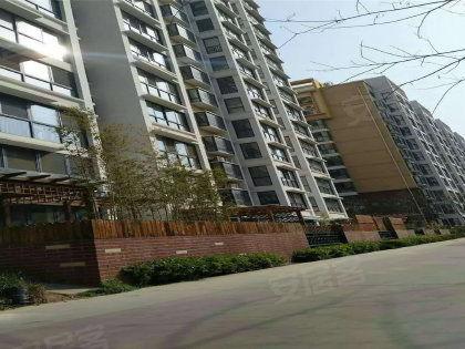 济宁凤凰城吃瓜事件,一场引发热议的邻里纠纷