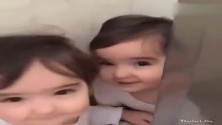 大鲨鱼吃小瓜,大鲨鱼与美味小瓜的邂逅