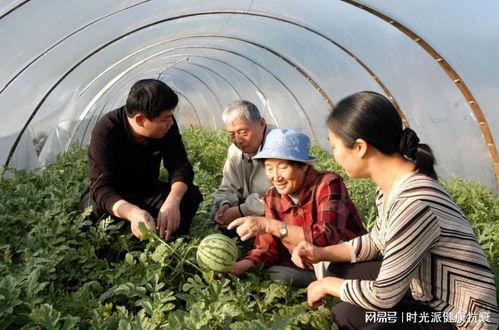 陈清平吃瓜,揭秘娱乐圈幕后故事
