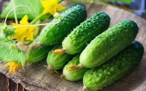 夏日吃瓜营养揭秘,清凉解暑，健康养生两不误