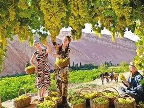 秋色吃瓜,探寻秋季美食的甜蜜诱惑