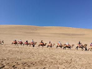 鸣沙山吃瓜,夏日避暑美食之旅