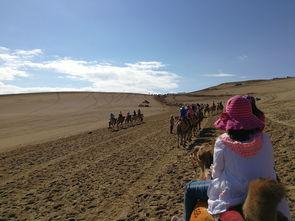 鸣沙山吃瓜,夏日避暑美食之旅