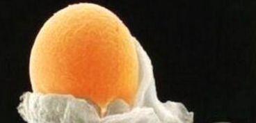 取卵后可以吃瓜吗,西瓜，可以吗？