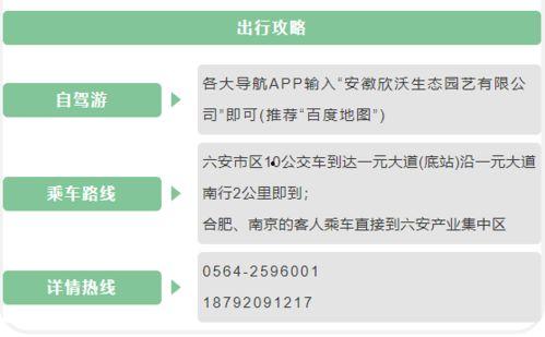 58吃瓜曝料,揭秘娱乐圈背后的惊人真相