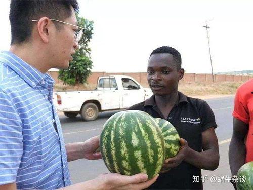 网友今年吃瓜现状,笑料百出，揭秘娱乐圈风云