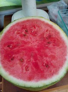 吃瓜吃到身上,从旁观者到“瓜衣”上身