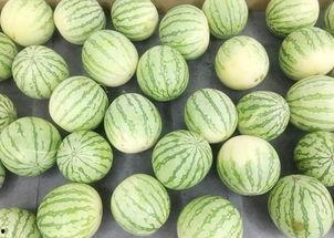 吃瓜之大,网络舆论场中的娱乐与真相