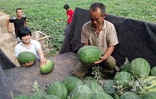山东梁山吃瓜,探寻山东梁山特色美食之旅