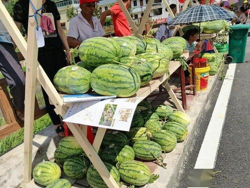 山东梁山吃瓜,探寻山东梁山特色美食之旅