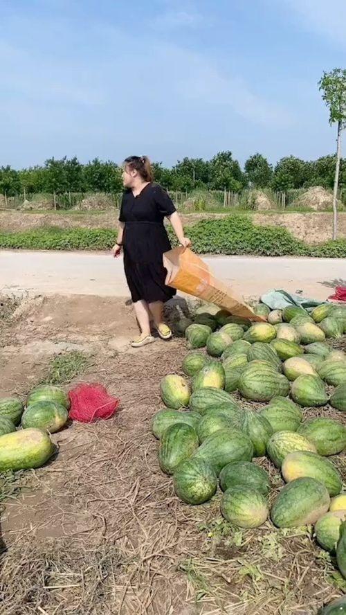 搞笑吃瓜全部,笑料横飞，笑出腹肌的欢乐盛宴