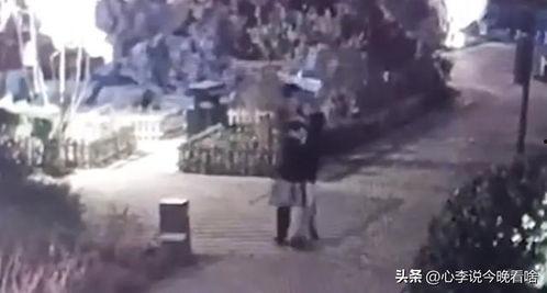 阿姨吃瓜完整视频播放,趣味横生的夏日午后时光