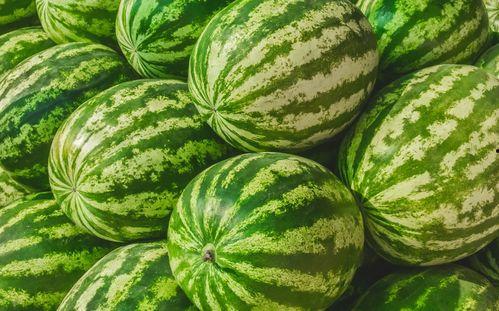 吃瓜都在哪,吃瓜群众聚集地，揭秘网络热议背后的秘密