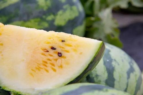 吃瓜都在哪,吃瓜群众聚集地，揭秘网络热议背后的秘密