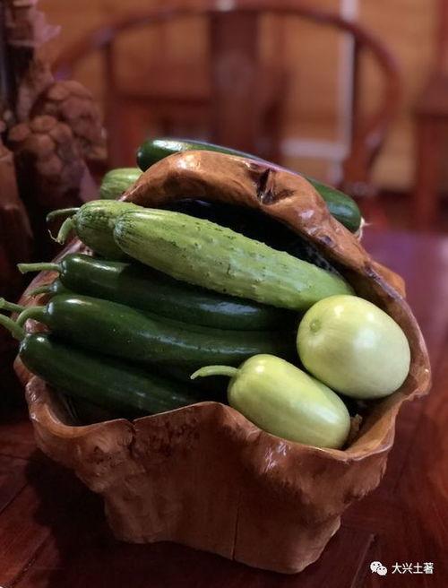 海安网红吃瓜,揭秘网络红人的幕后故事