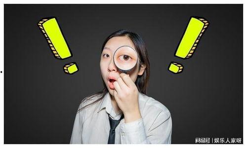 小瓜吃瓜直播在哪里看到,独家观看指南