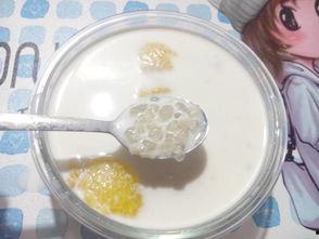 吃瓜西米酱,揭秘网红美食背后的故事