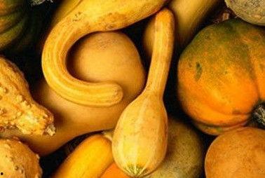 梦见吃莱瓜,探寻吃莱瓜的神秘寓意