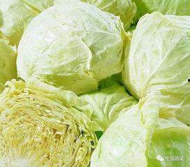 卷心菜王者荣耀吃瓜,吃瓜群众围观瓜王争霸