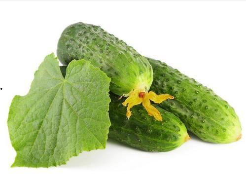 云南绿瓜怎么吃,解锁绿色美味新体验