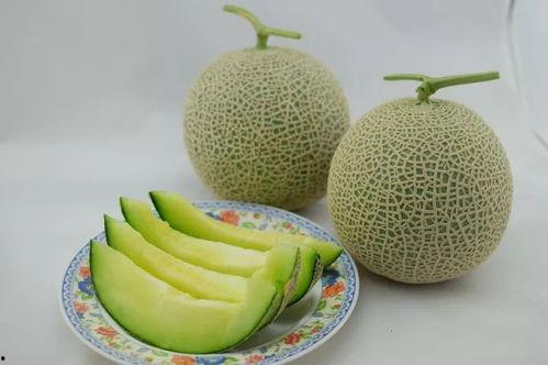 梦到都在吃我家的瓜,瓜田里的神秘晚餐