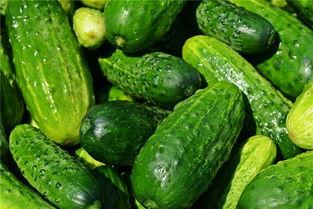 梦到都在吃我家的瓜,瓜田里的神秘晚餐