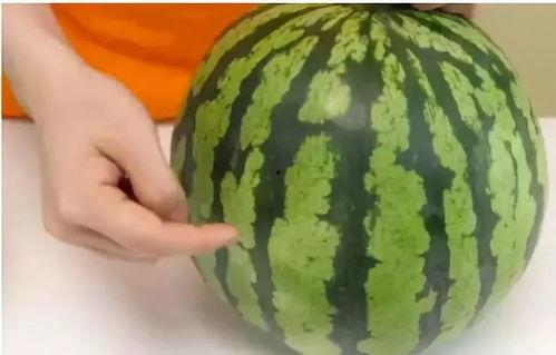 弋优吃瓜,揭秘娱乐圈背后的那些事儿