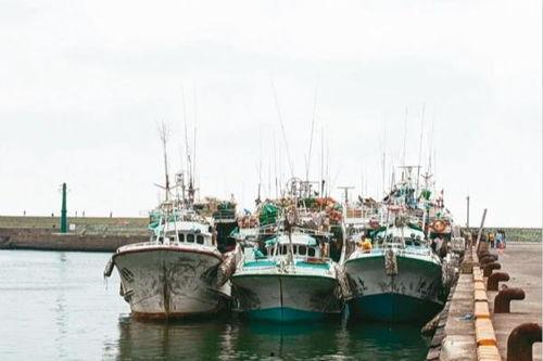 吃瓜船高雄,揭秘台南美食之旅