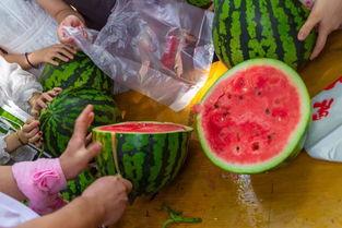 株洲吃瓜视频,揭秘当地美食文化盛宴