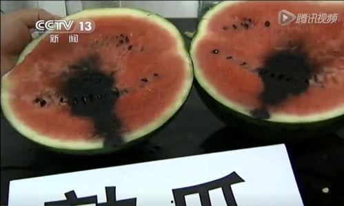 株洲吃瓜视频,揭秘当地美食文化盛宴