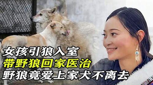 野狼带你回家吃瓜