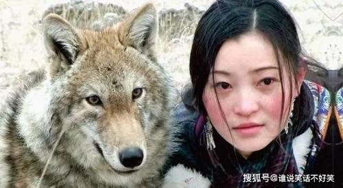 野狼带你回家吃瓜