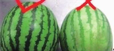 悄悄的吃瓜,悄悄吃瓜，揭秘明星幕后故事