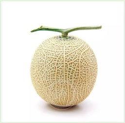 吃瓜变现方法,揭秘瓜农的财富之路