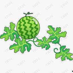 水果吃瓜图片卡通,卡通瓜图趣味盎然