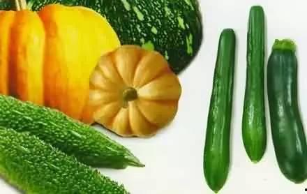 吃瓜适合什么职业,揭秘适合“吃瓜”职业的五大热门行业