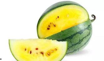 西瓜条子视频吃瓜