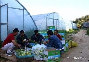 蓟州吃瓜群众,揭秘当地生活百态