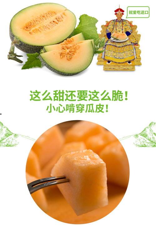 吃瓜备用号,带你领略网络世界的趣味与真相