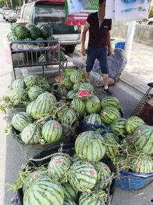 西安同城吃瓜事件,揭秘网络热议背后的真相