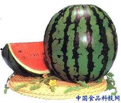 不良吃瓜,揭秘背后真相与反思