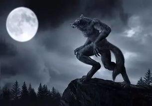 狼人吃瓜视频大全