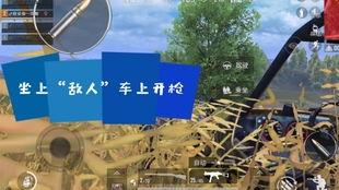 战地记者吃瓜前线,揭秘战地风云中的趣味瞬间